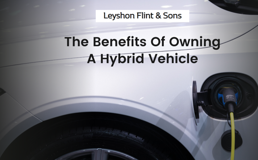 Should you store buy hybrid car