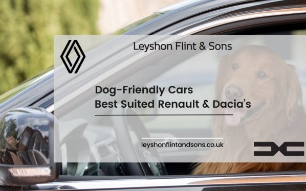 Dog Friendly Cars - Best Suited Renault & Dacia’s